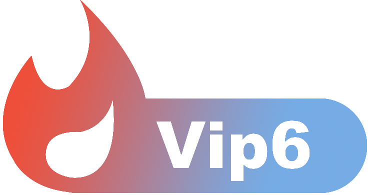 等级-LV6-吾爱技术网